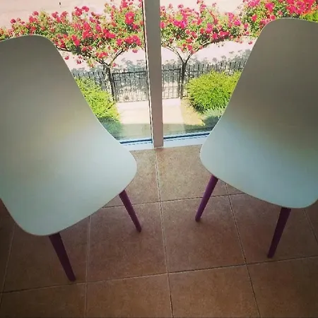 Family Magnolia, Sunny ساني بيتش