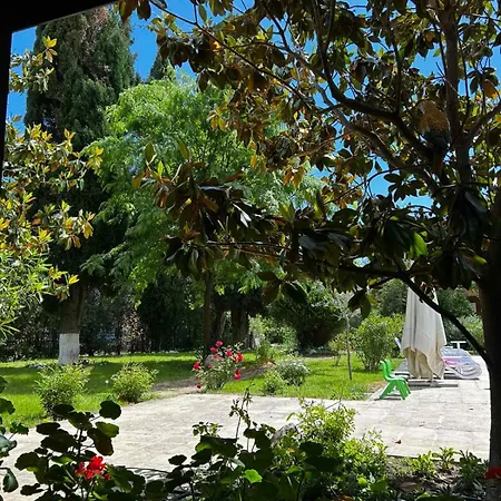 Family Magnolia, Sunny فندق