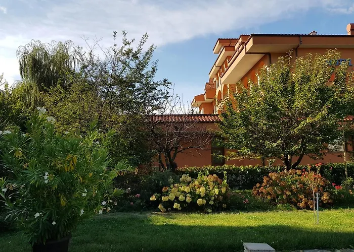 Family Magnolia, Sunny Σάνι Μπιτς