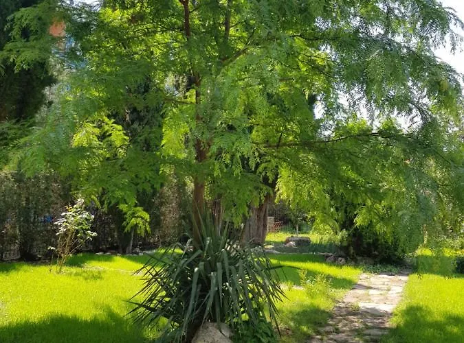 Family Magnolia, Sunny 2*