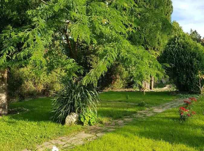 Ξενοδοχείο Family Magnolia, Sunny 2*