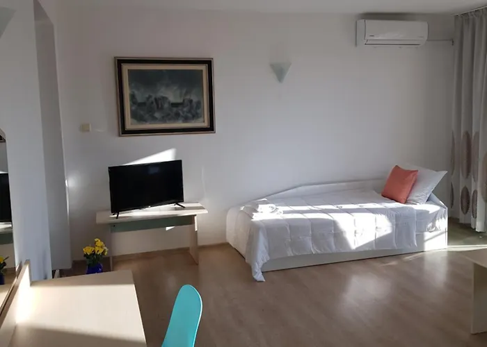 Family Magnolia, Sunny