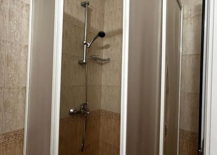 Family Magnolia, Sunny 2*