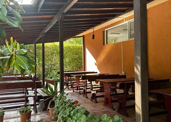 Family Magnolia, Sunny Слънчев бряг