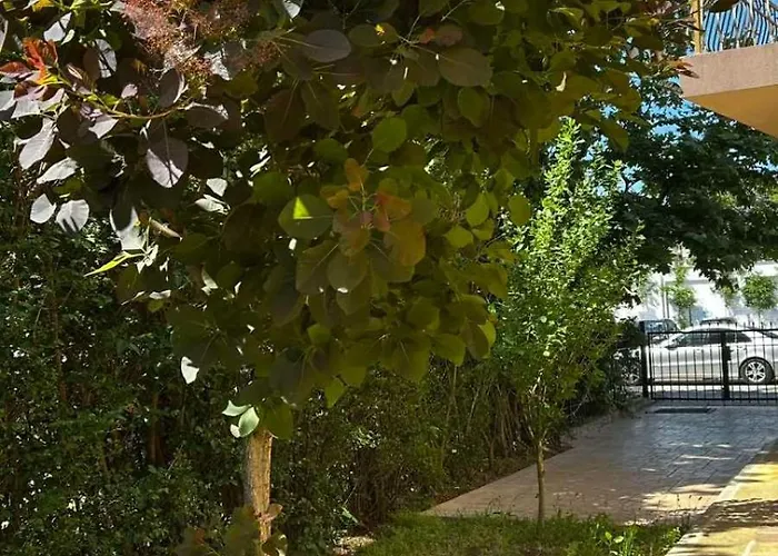 Ξενοδοχείο Family Magnolia, Sunny Σάνι Μπιτς