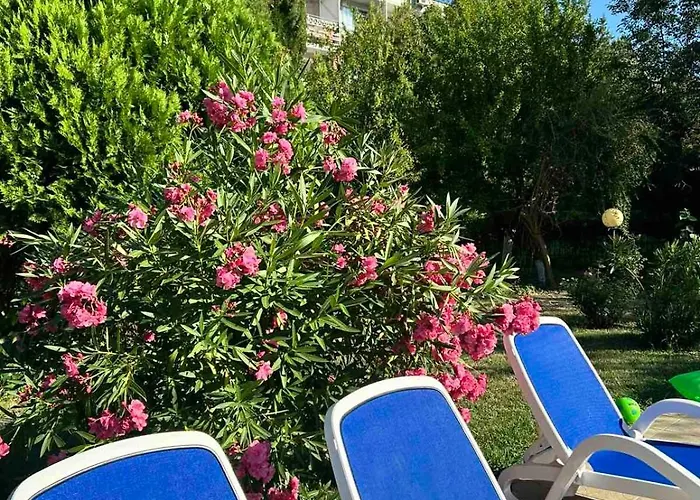 Family Magnolia, Sunny Ξενοδοχείο