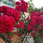 Family Magnolia, Sunny Hotel 2*