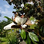Хотел Family Magnolia, Sunny
