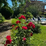 Отель Family Magnolia, Sunny 2*