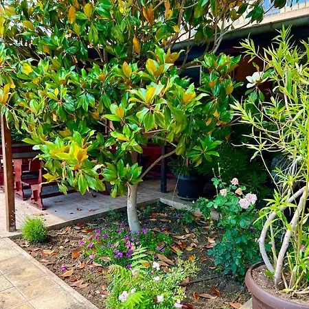 Готель Family Magnolia, Sunny Сонячний Берег