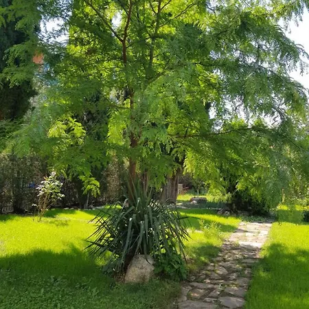 Family Magnolia, Sunny 2*