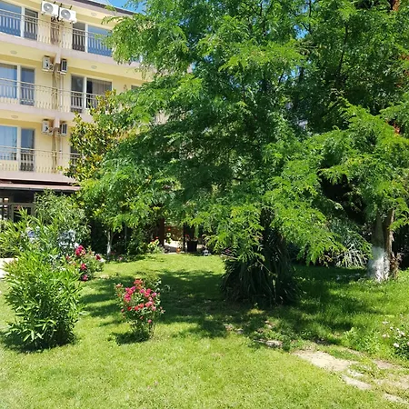 Family Magnolia, Sunny