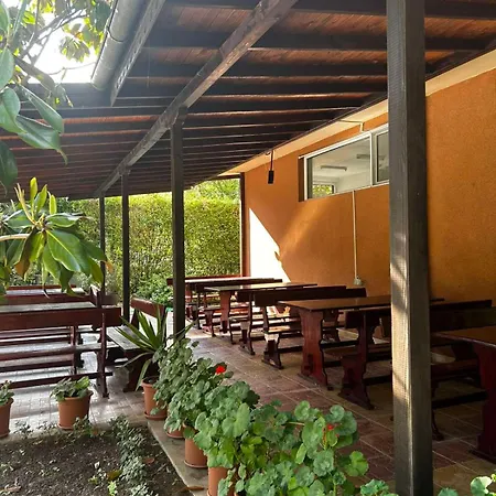 Family Magnolia, Sunny Сонячний Берег