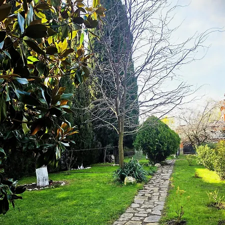 Family Magnolia, Sunny 2*