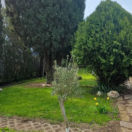 Family Magnolia, Sunny Сонячний Берег