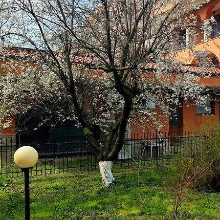 Family Magnolia, Sunny 2* Солнечный берег