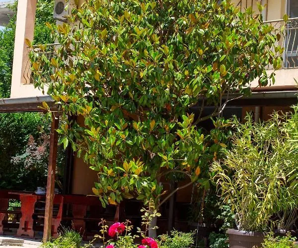 Family Magnolia, Sunny