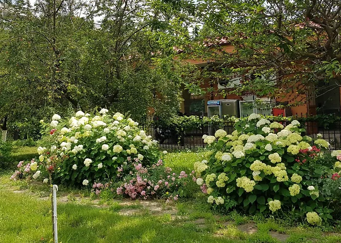 Family Magnolia, Sunny 2*