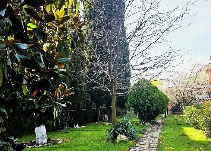 Family Magnolia, Sunny 2*