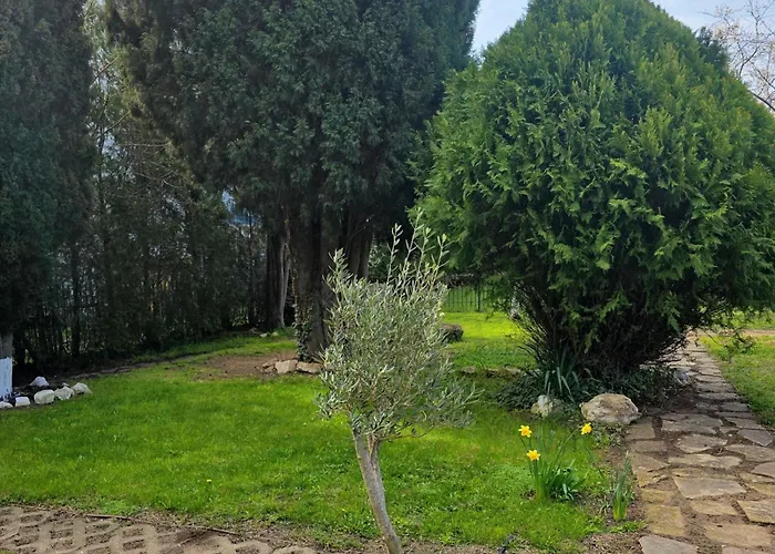 Family Magnolia, Sunny Сонячний Берег