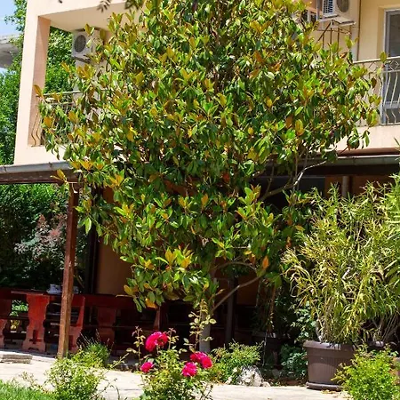 Family Magnolia