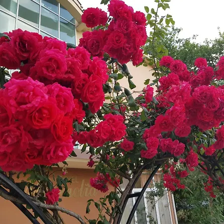 Family Magnolia, Sunny Hotel 2*