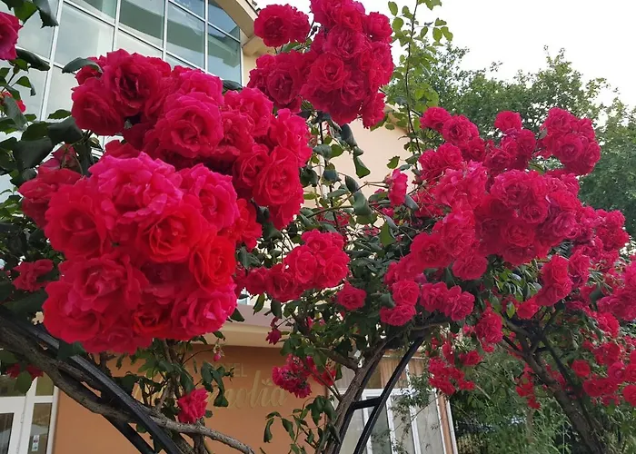 Family Magnolia, Sunny Otel 2*